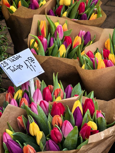 Colorful tulip bouquets featuring a mix of vibrant pink, yellow, purple, and orange blooms, wrapped in plain brown paper, arranged in rows on a table. The tulips have fresh, smooth petals and green st