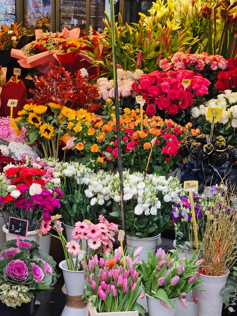 A vibrant display of freshly cut flowers at a florist shop. The arrangement includes a variety of blooms such as pink tulips in a white pot, clusters of pink and red roses, white and purple daffodils,