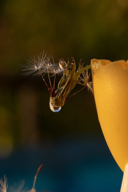 A close-up image of a delicate dandelion seed head with a droplet of water clinging to its fine filaments, positioned above the edge of a yellow glass or candle holder. The background features a blurr
