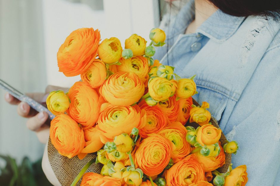A person wearing a light blue denim shirt holds a large bouquet of vibrant orange and yellow ranunculus flowers with green buds. The flowers are fresh, with tightly layered petals and sturdy stems, ar